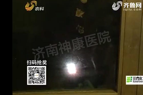 济南:摔锅砸碗打老母亲 53岁“破坏王”获救助